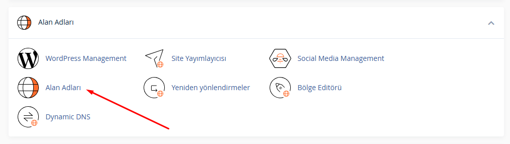alan adı ekleme